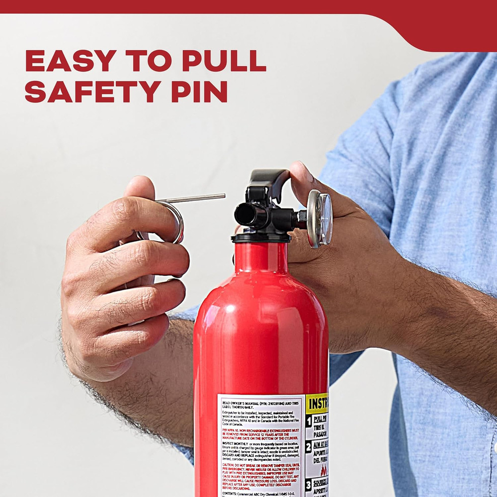 FA110 Multi Purpose Fire Extinguisher 1A10BC, 1 Pack, Red