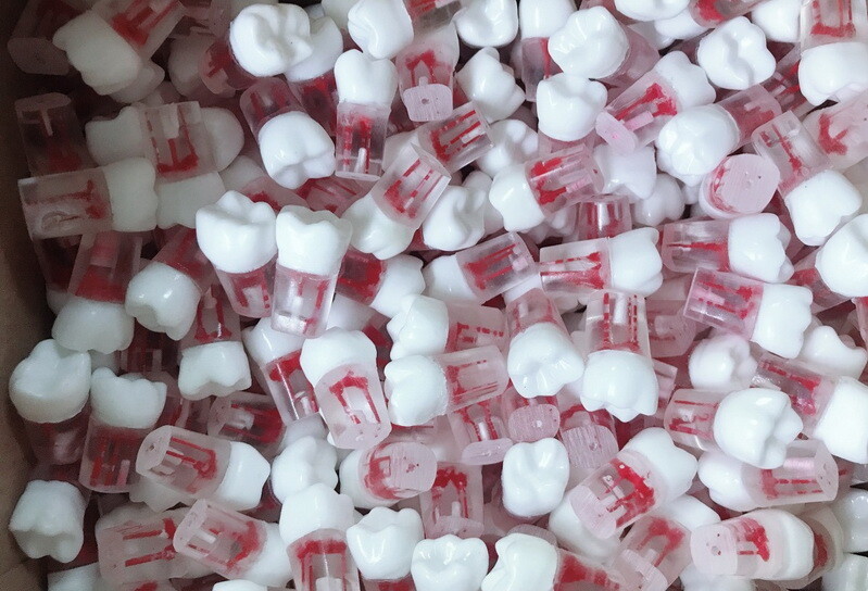 10x Dental clear Root Canal Teeth Study Practice Model Endodontic Pulp File