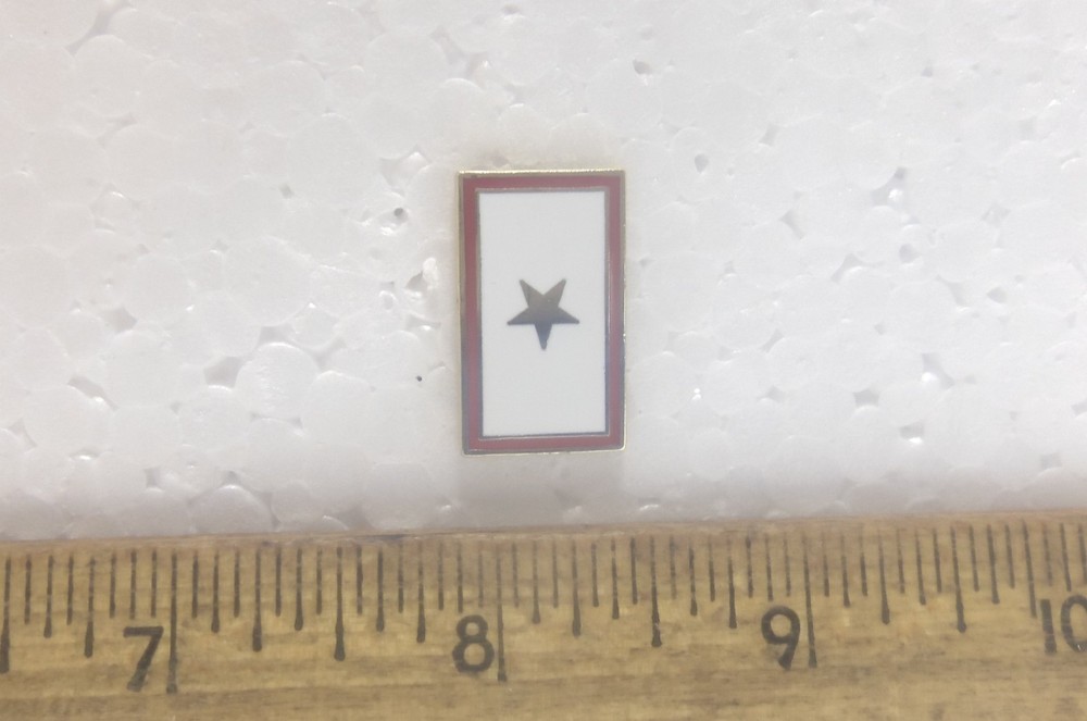 Gold Star Pin