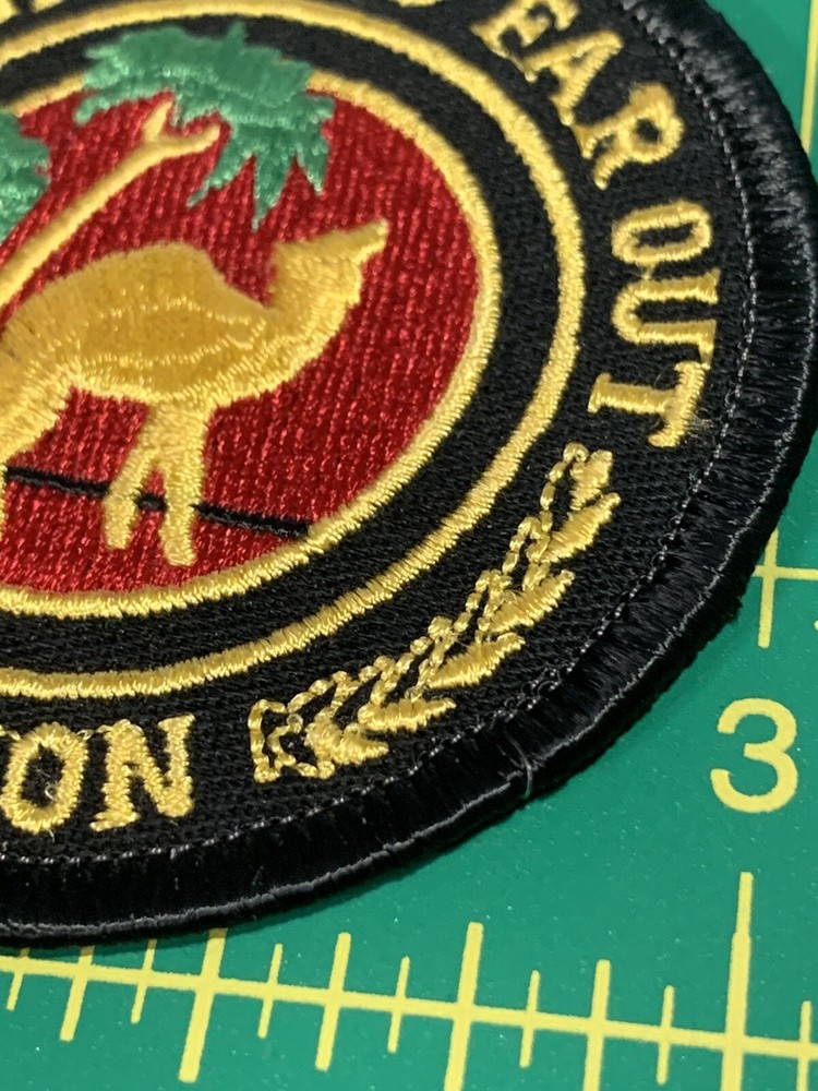 Ray Stevens French Fried Far Out Legion Patch