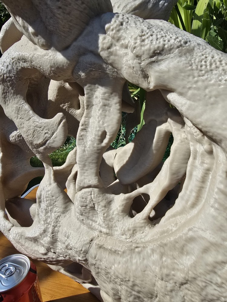 Life-size CARNOTAURUS skull Replica, Fossil
