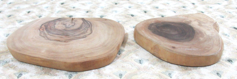 PETRIFIED TREE SLICES FOSSILIZED 5" ROUNDS