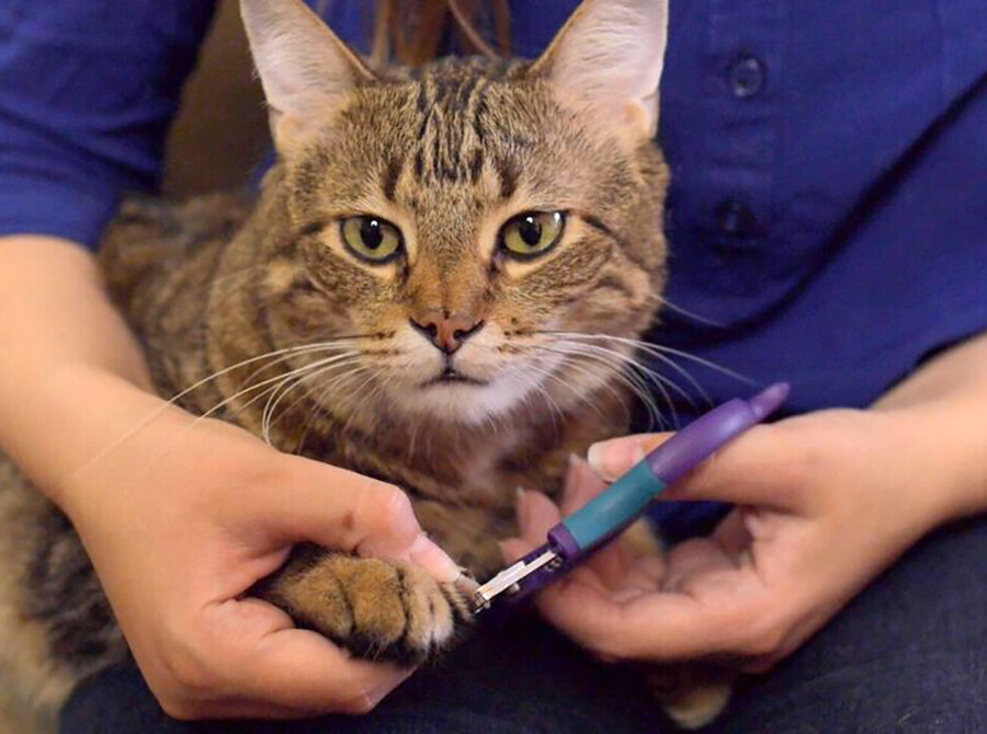 Zen Clipper® - NEW - FREE SHIPPING