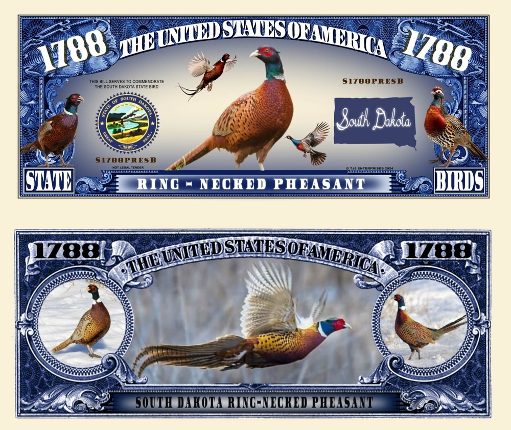 OUR SOUTH DAKOTA RING-NECKED PHEASANT NOVELTY NOTES (25 EA)