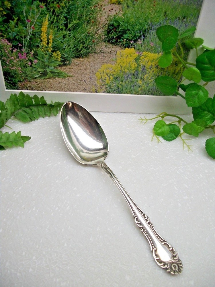 Oneida Wm. A. Rogers   Rosemary  CARLTON   Silverplate Solid Serving Spoon  1898
