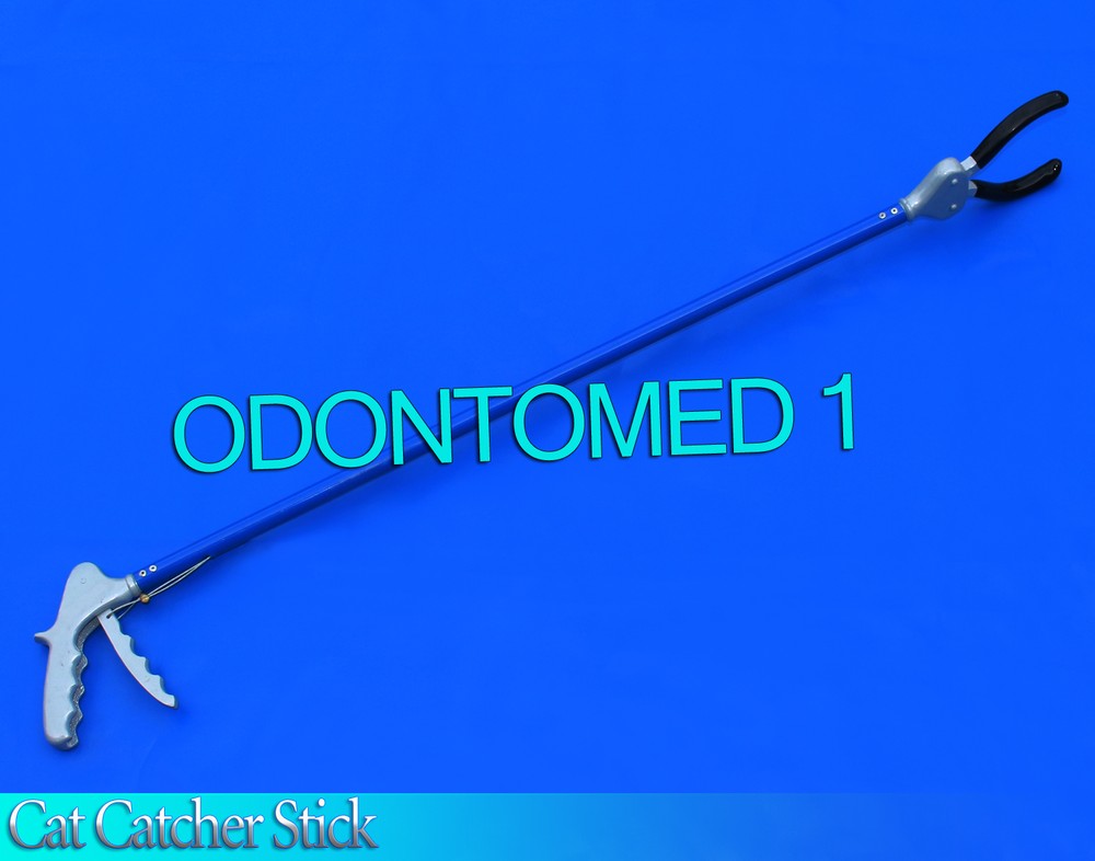 40" Cat Catcher Stick Blue Color