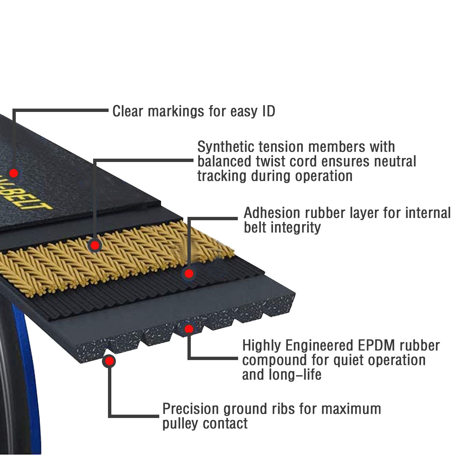 Engine Water Pump Belt for 5281957AA Jeep Wagoneer Dodge Ram 1500 2019-2024