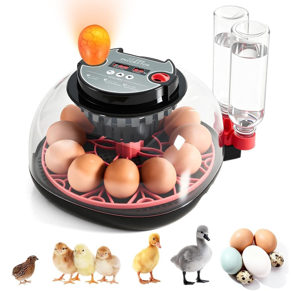 Incubators for Hatching Eggs - 12 Egg Capacity, Egg Incubator with Automatic ...