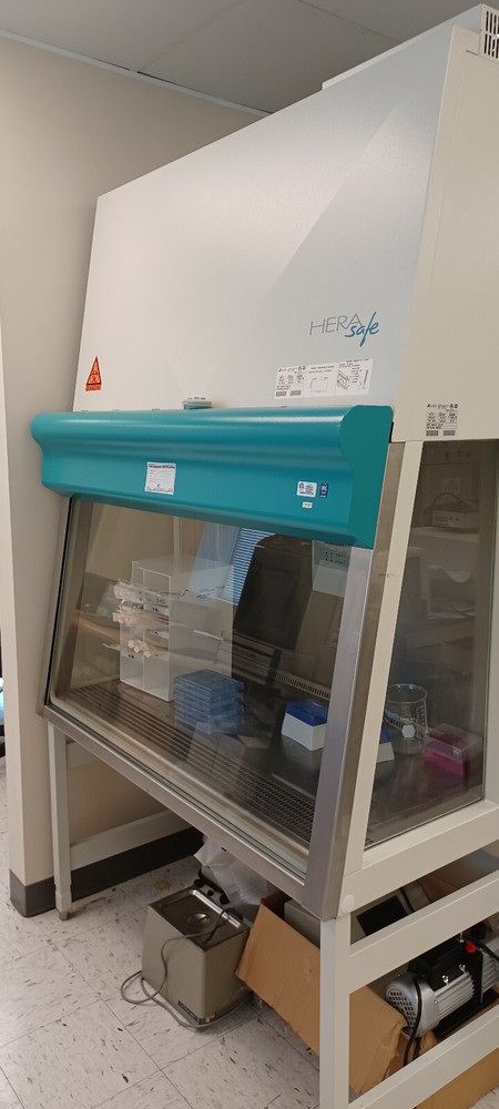 Hera SAFE Kendro KS12 Biosafety Cabinet