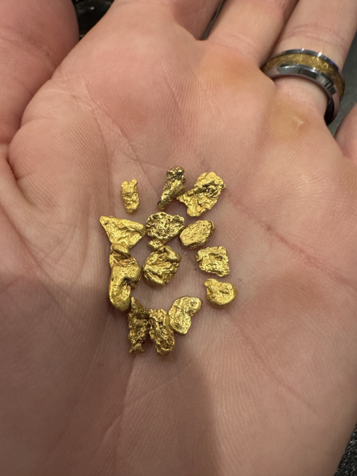 Presidential 10 Gram Gold Nugget Hunt Rich Unsearched Paydirt With Added Gold