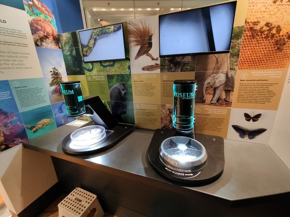 VIP Digital Microscope for Museums, Conservancies, STEM, etc.