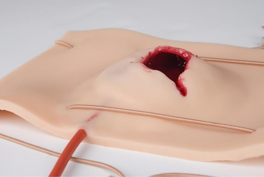 Large-caliber Gun Wound Hemostasis Control Training Model