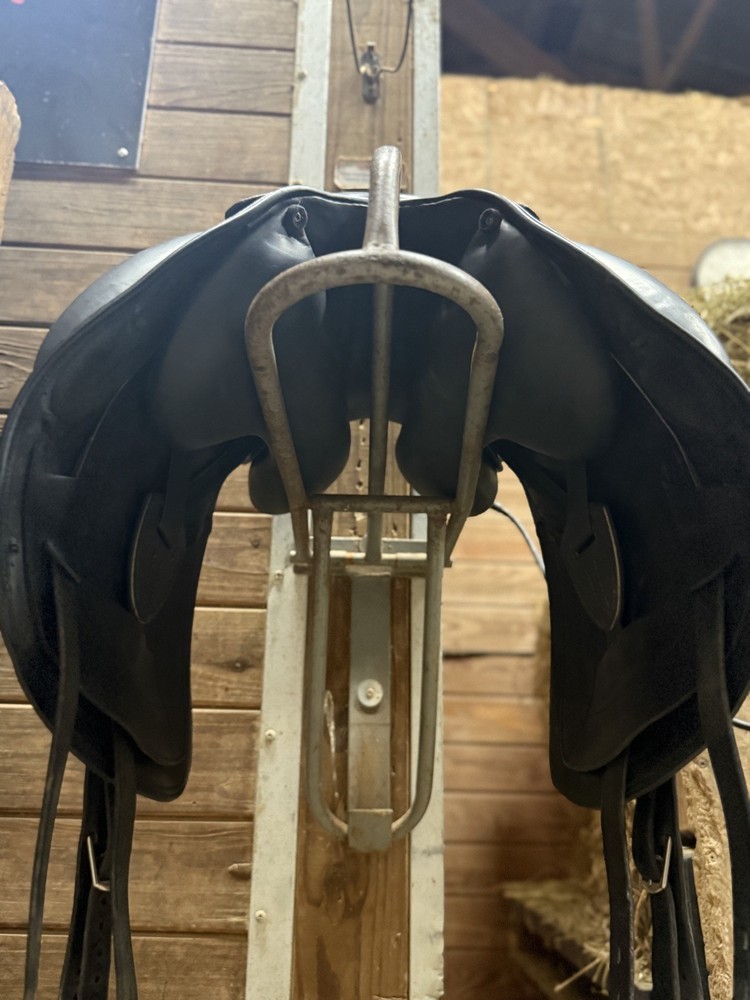 17"/17.5" Erreplus Freestyle (2019) w SL Panel