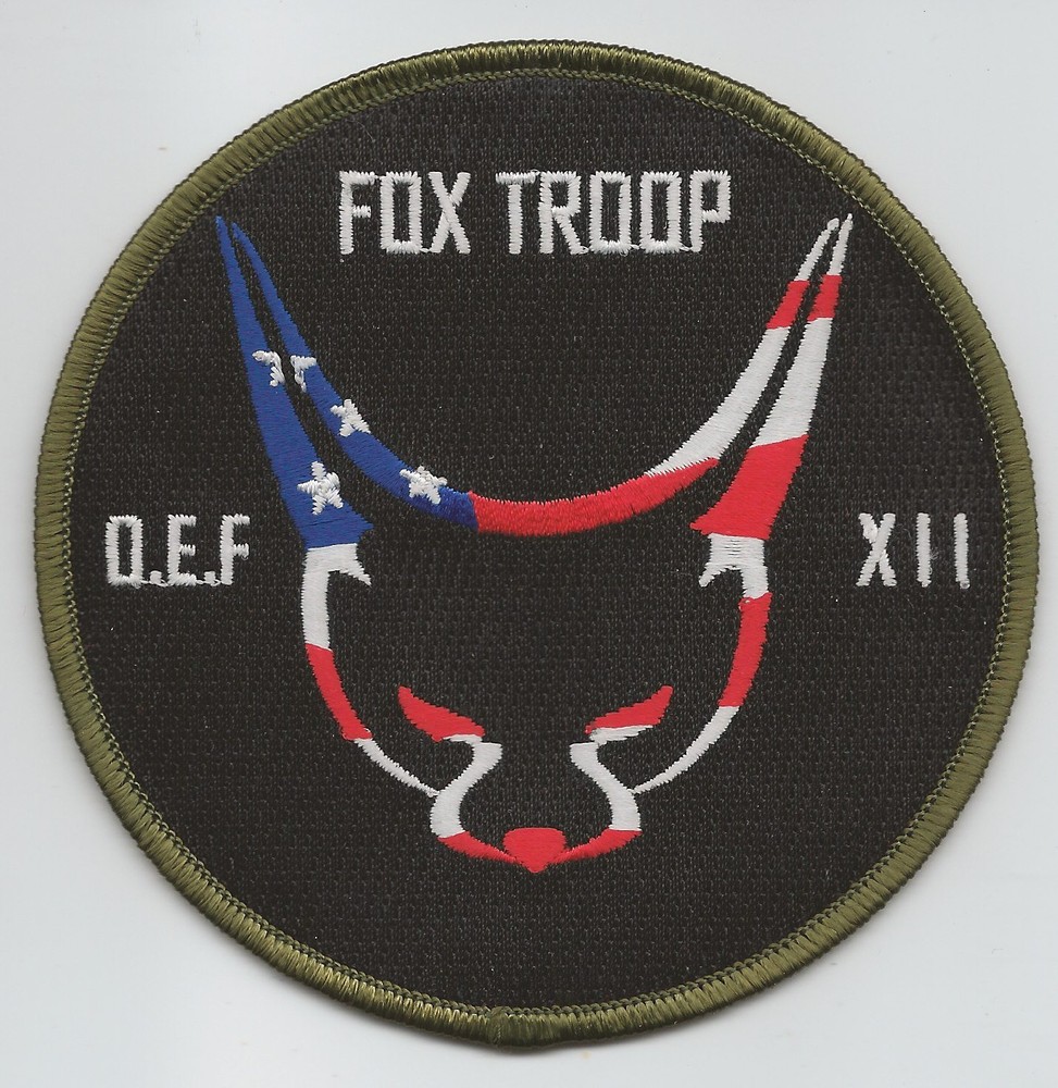 FOX TROOP 1-17th CAV  TASK FORCE TALON OEF XII patch