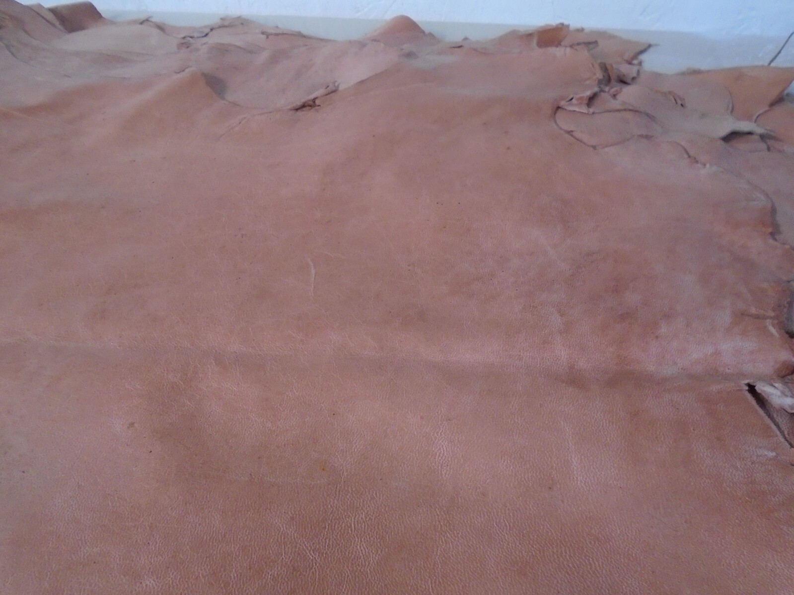 Top Grain Goat Leather