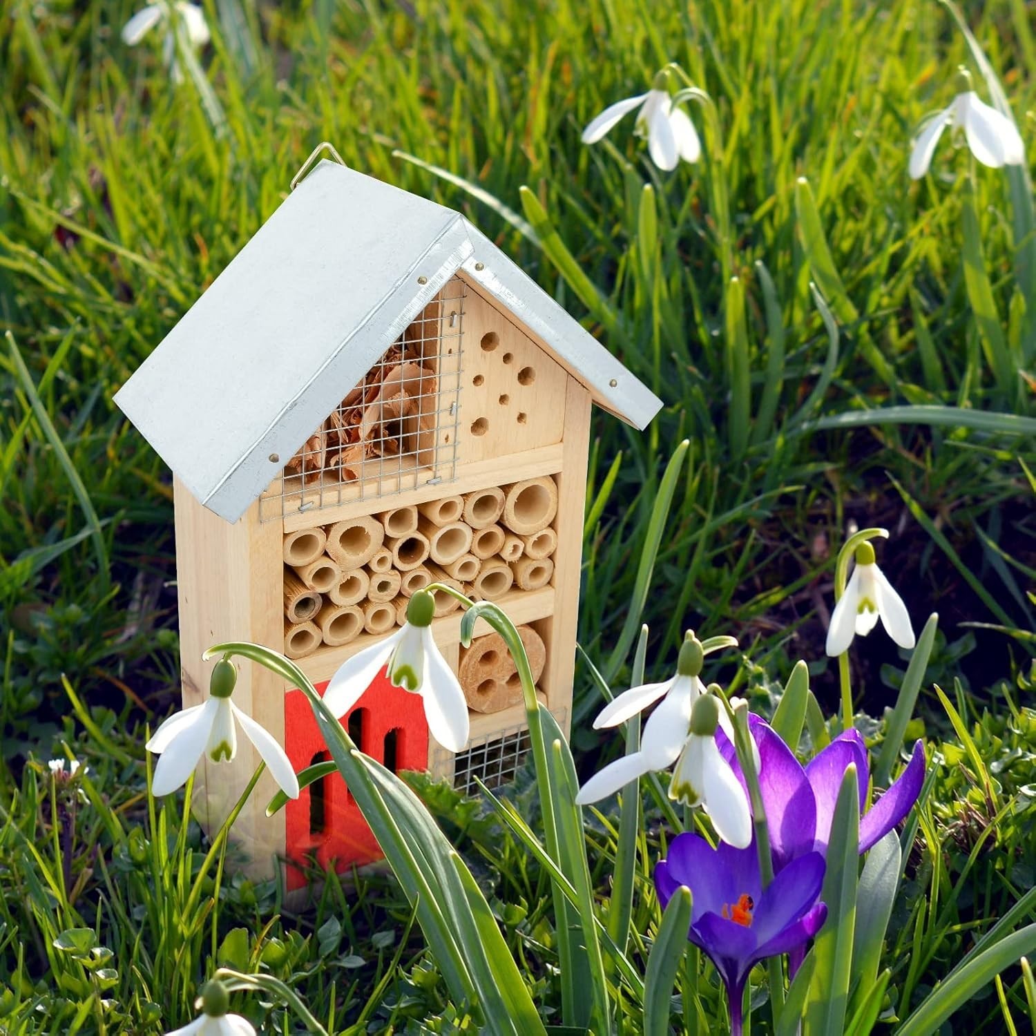 Compact Garden Insect House for Ladybugs, Bees & Butterflies – 3.5 x 6 x 10 in