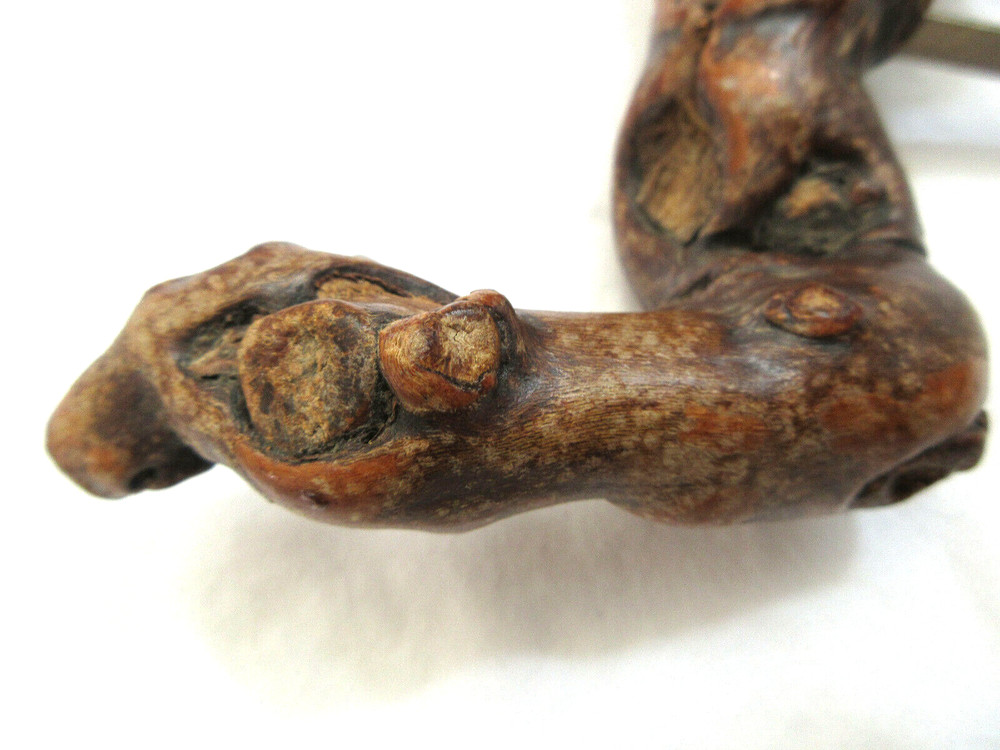 Rare Petrified Wood Grapevine Corkscrew Unmarked EUC