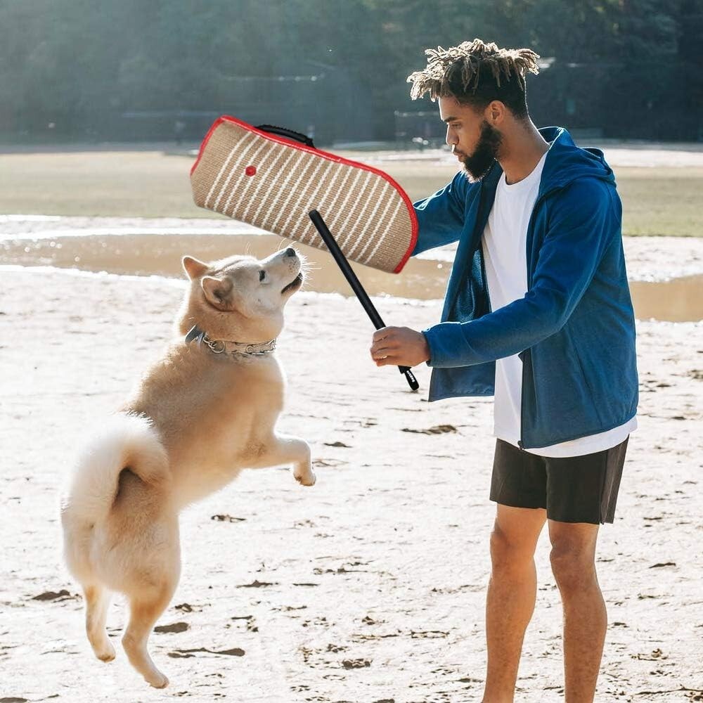 Professional Dog Training Set: Bite Sleeve, Tug Pillow & Stick for Small Breeds