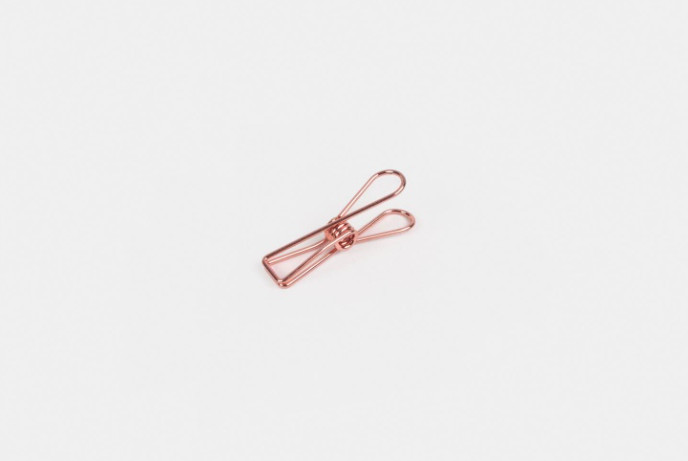 Tools to Liveby Wire Clips (rose gold)