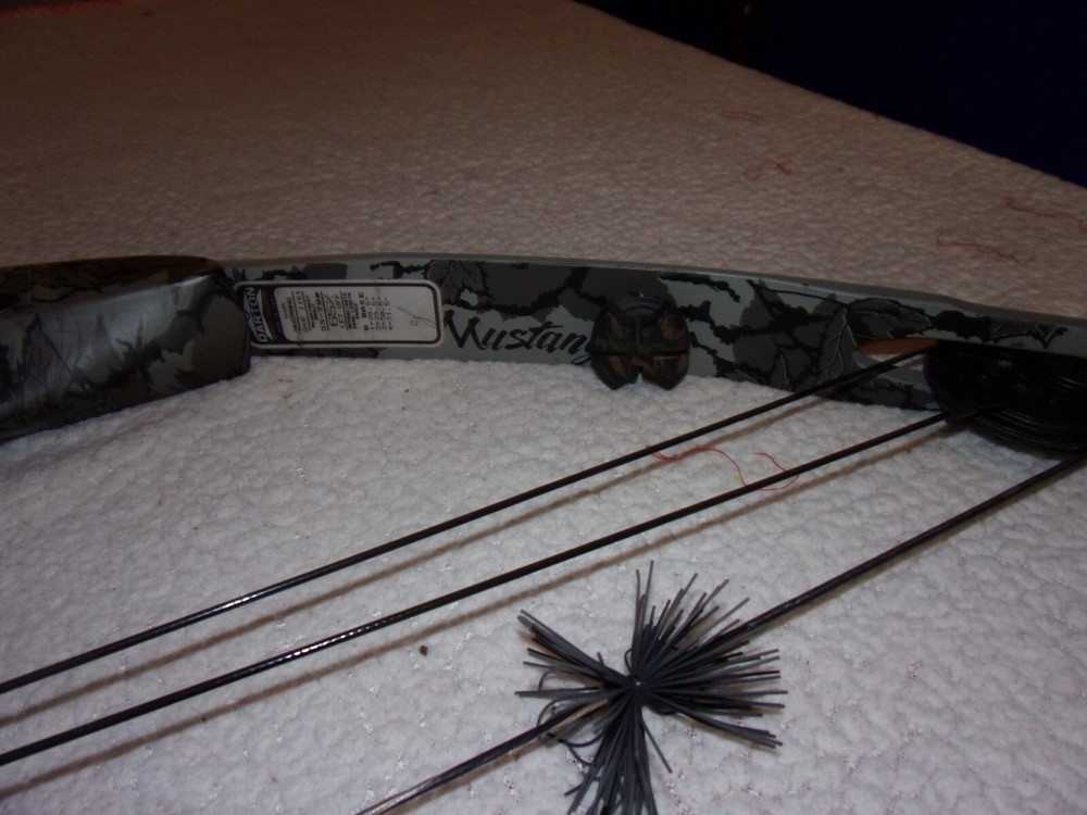 Darton Mustang Compound Bow