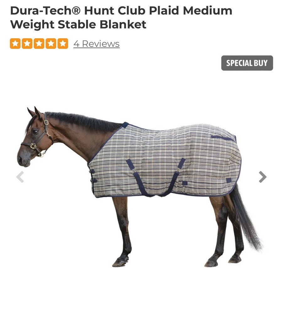 Horse Stable Blanket