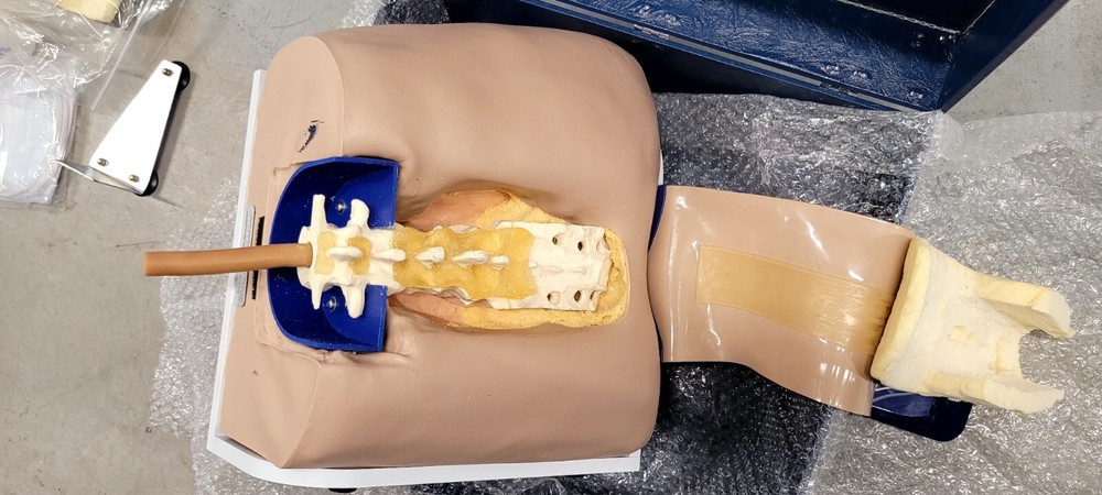 Nasco Life Form Spinal Injection Simulator