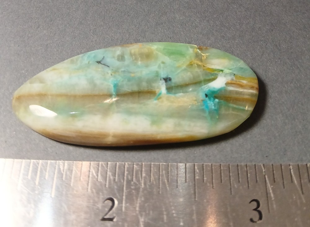Indonesian Opalized Wood Cabochon