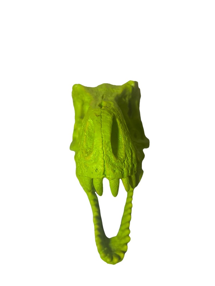 t rex skull replica