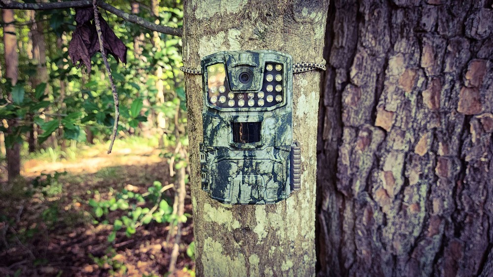 Tree Gripper Adjustable Trail Camera Strap (2 pack)