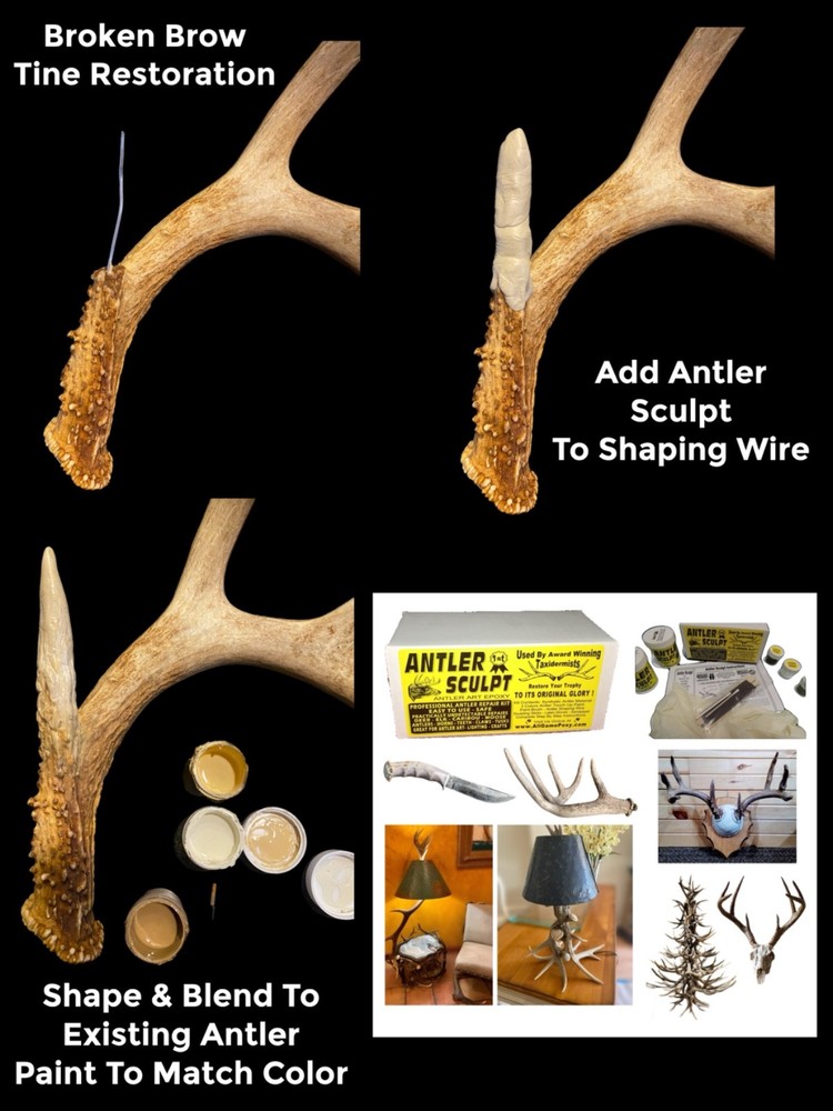 Deer Antler Art Kit - Repair - Replace Missing Tines & Points Create Lamps Trees