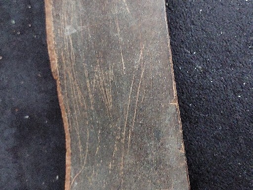 Vintage Straight Razor Barber Leather Sharping Strap Lot Genuine Shell