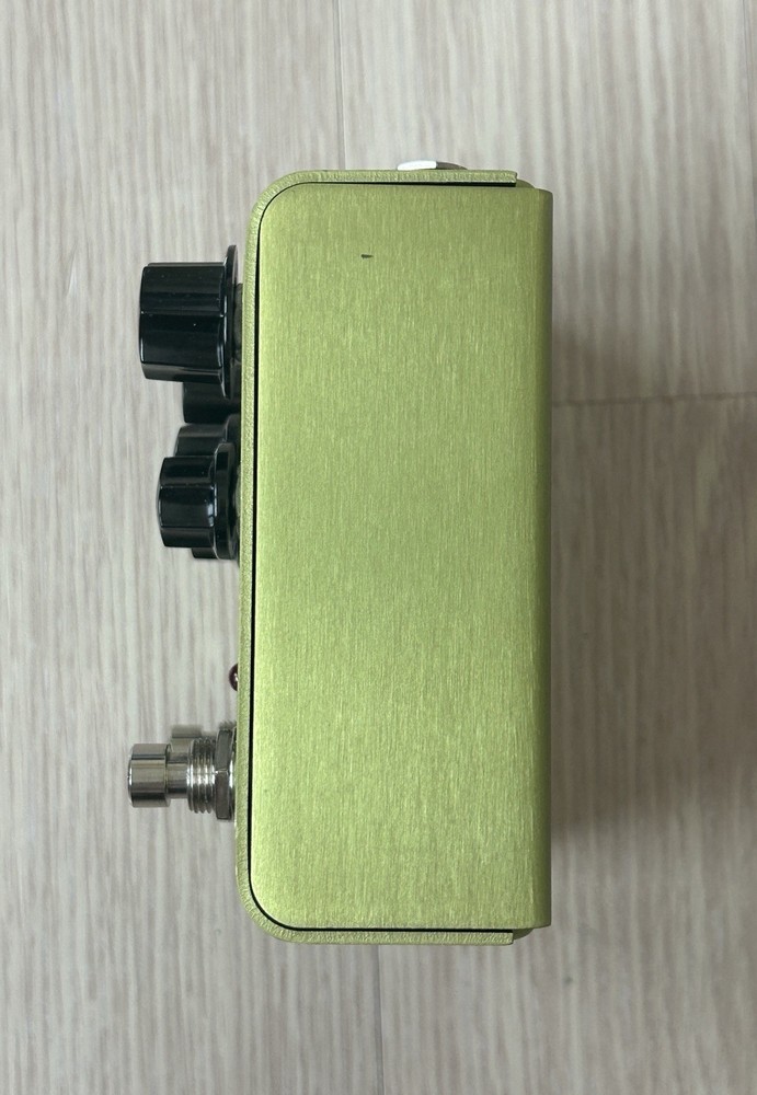 Strymon Brigadier Delay