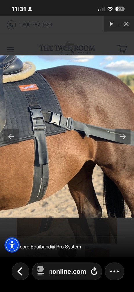 New Equicore Concepts Equiband Pro Training System Horse
