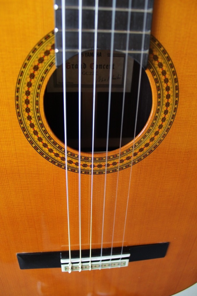 Brand New Yamaha GC22C Nylon String Classical Guitar with Softshell Case