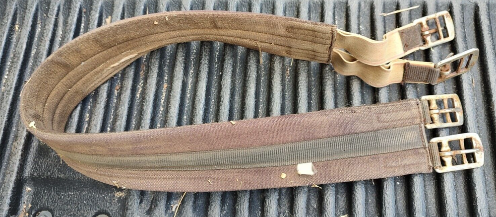 Padded Canvas English Girth BROWN Equine