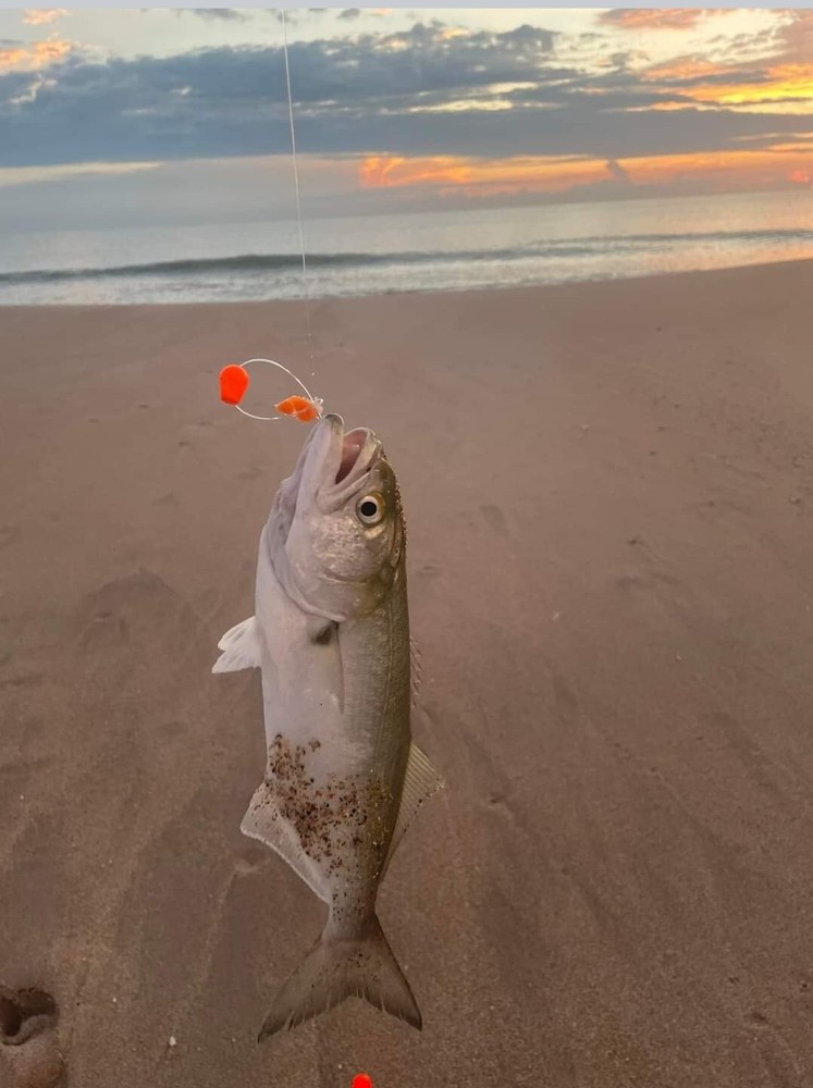 Orange/Orange Pompano Rig