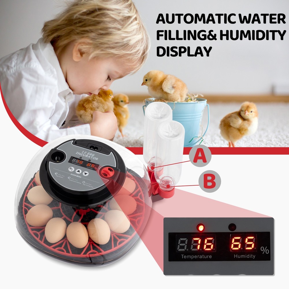 12 Egg Incubator with Automatic Turning, Humidity Control, LED Egg Candler