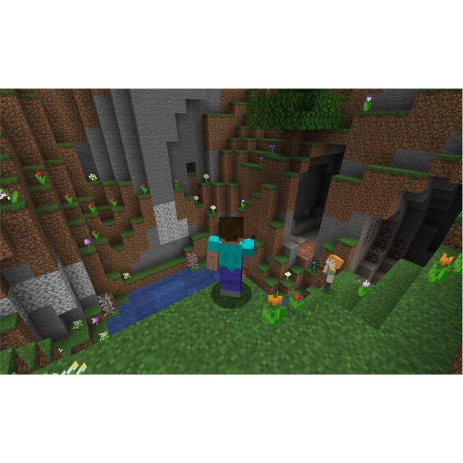 Minecraft: Java & Bedrock Edition for PC [Physical Version] [Region Free]