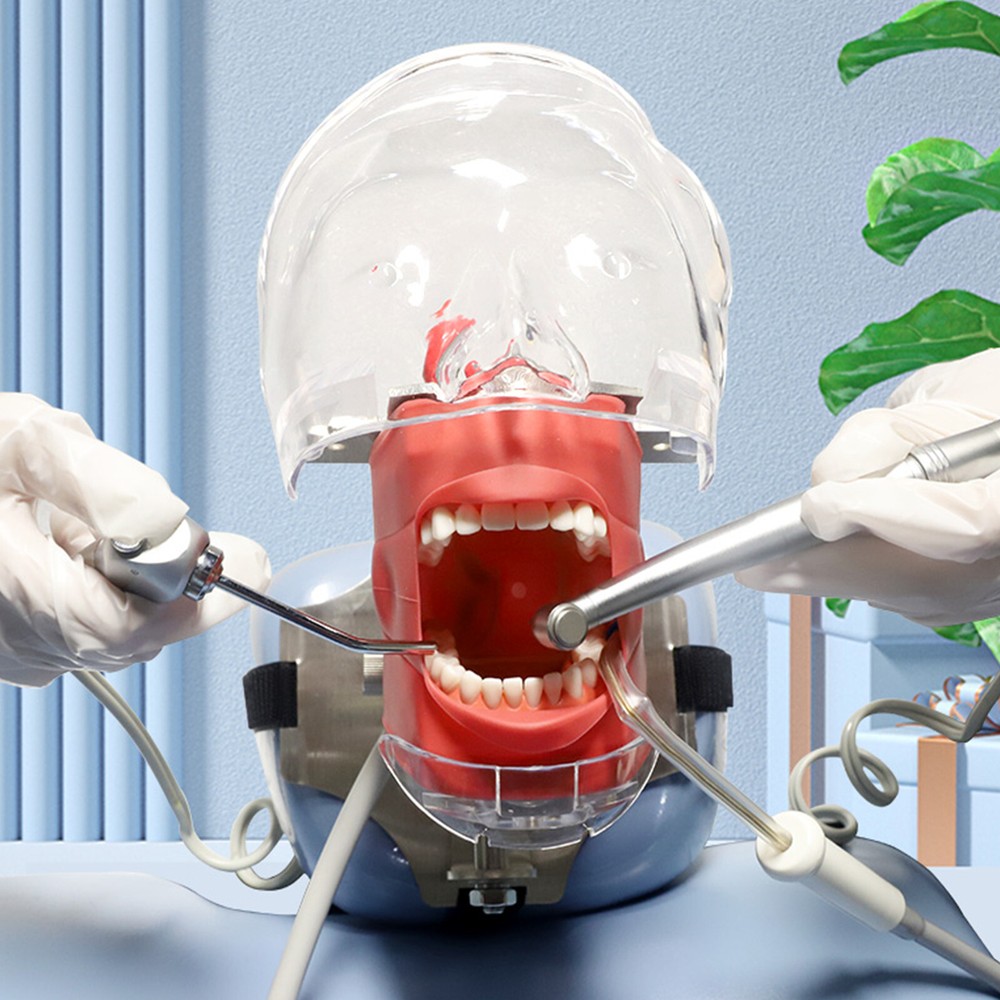 Dental Teaching Model Simulator Phantom Head Model for Dentist Fixing On Chair