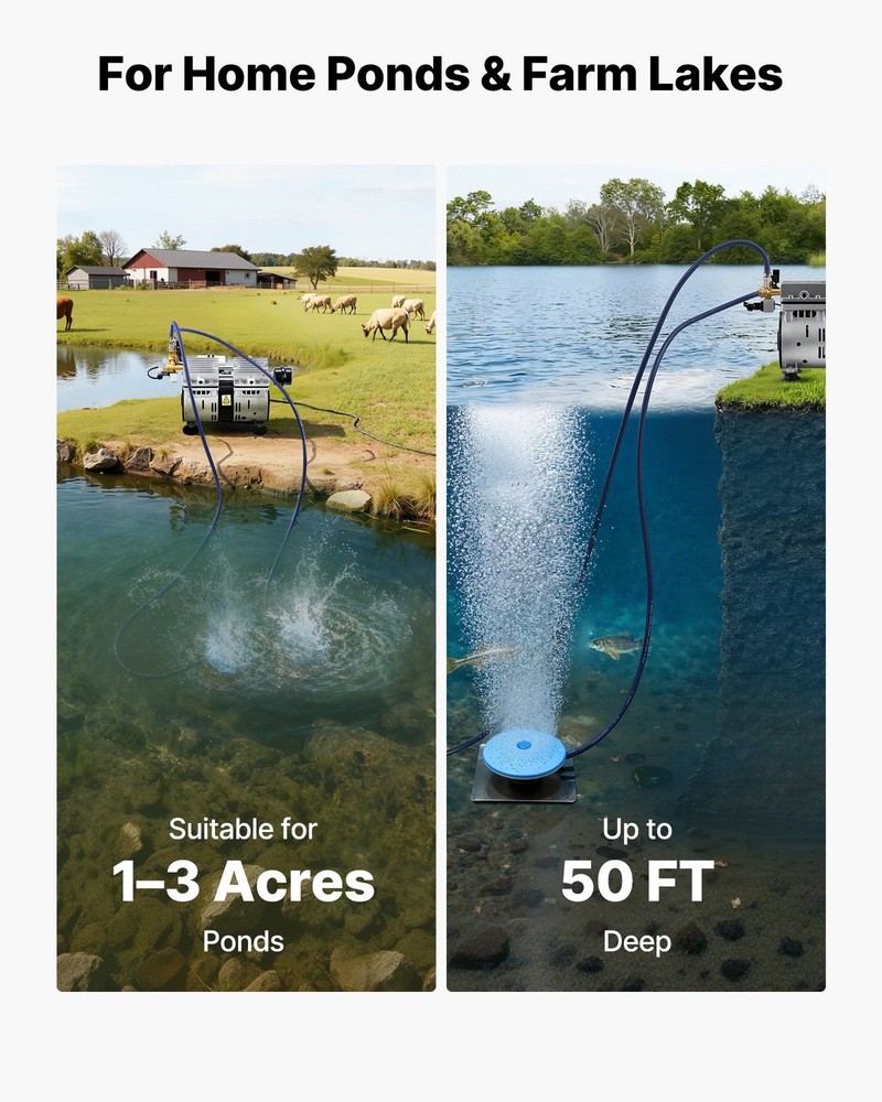 Pond Aeration Kit: 5.2 CFM, 3/4HP Compressor, 2 Diffusers, Timer, 100ft Hoses