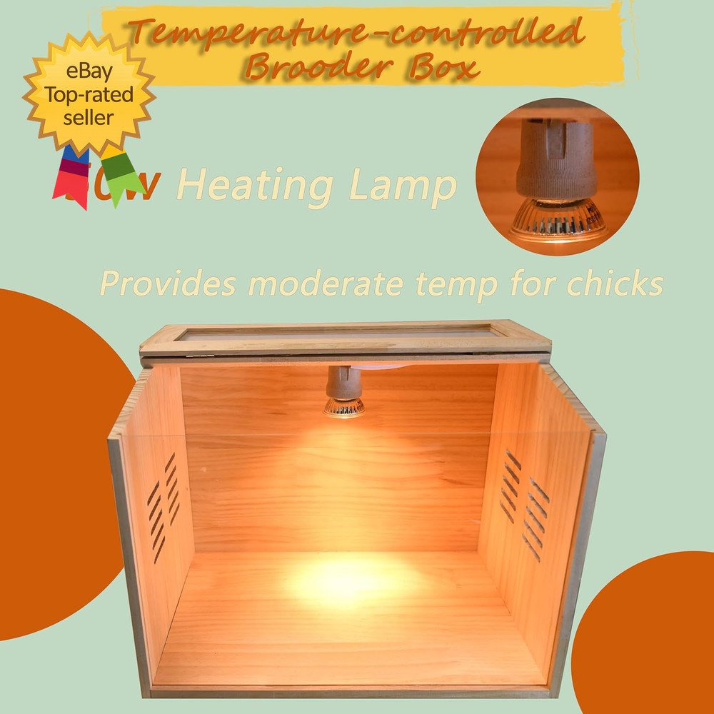 Brooder Box for Chicks, Chicken Brooder Box Chicken Heater Poultry Brooder with