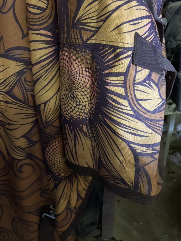 Horse Winter Blanket