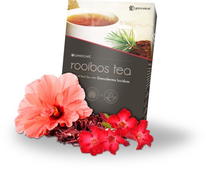 Gano Excel Ganocafe Robious Tea Ganoderma Lucidum
