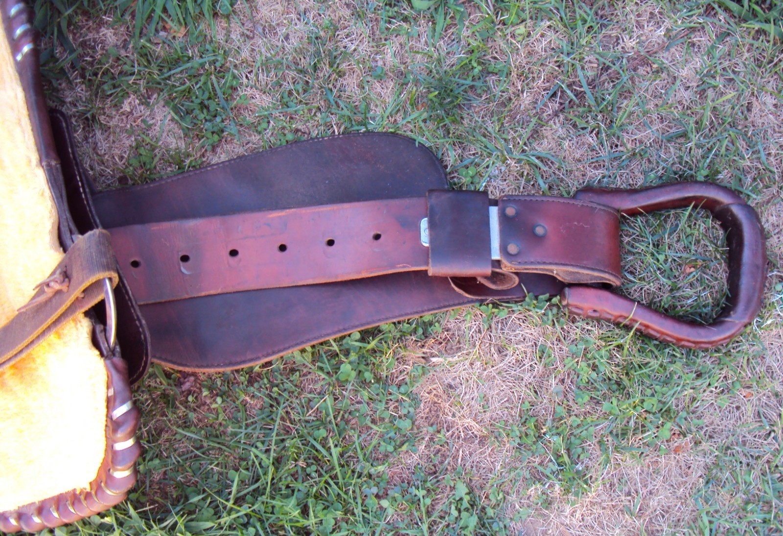 CIRCLE Y Western Show Saddle - 15" - SILVER CONCHOS - Padded Seat - BEAUTIFUL!