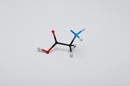 HGS Molecular Structure Model Stereochemistry Student Set Maruzen