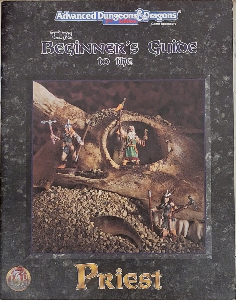 Advanced Dungeons & Dragons: The Beginner's Guide to the Priest