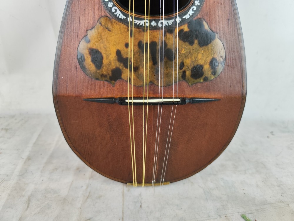 Mandolin 4/4 Achille Lanfranco 1891 Naples 曼陀林 만돌린マンドリン