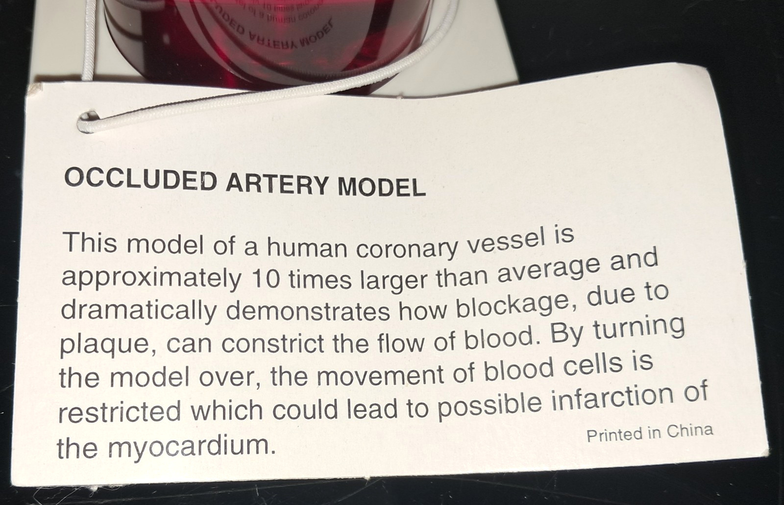 1993 Lescol Brand 7"x2" "Occluded Artery Model" For Pharmaceutical Marketing