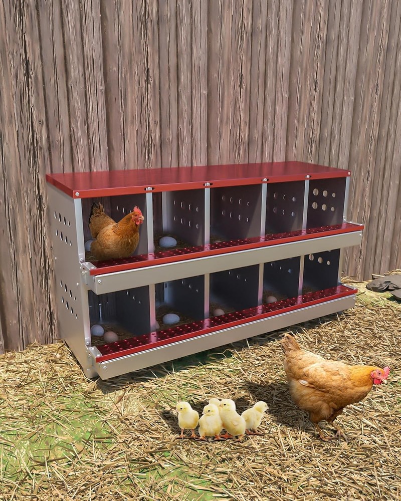 10-Hole Chicken Nesting Box for Laying Eggs Hen Coop Roll Away Nesting Box