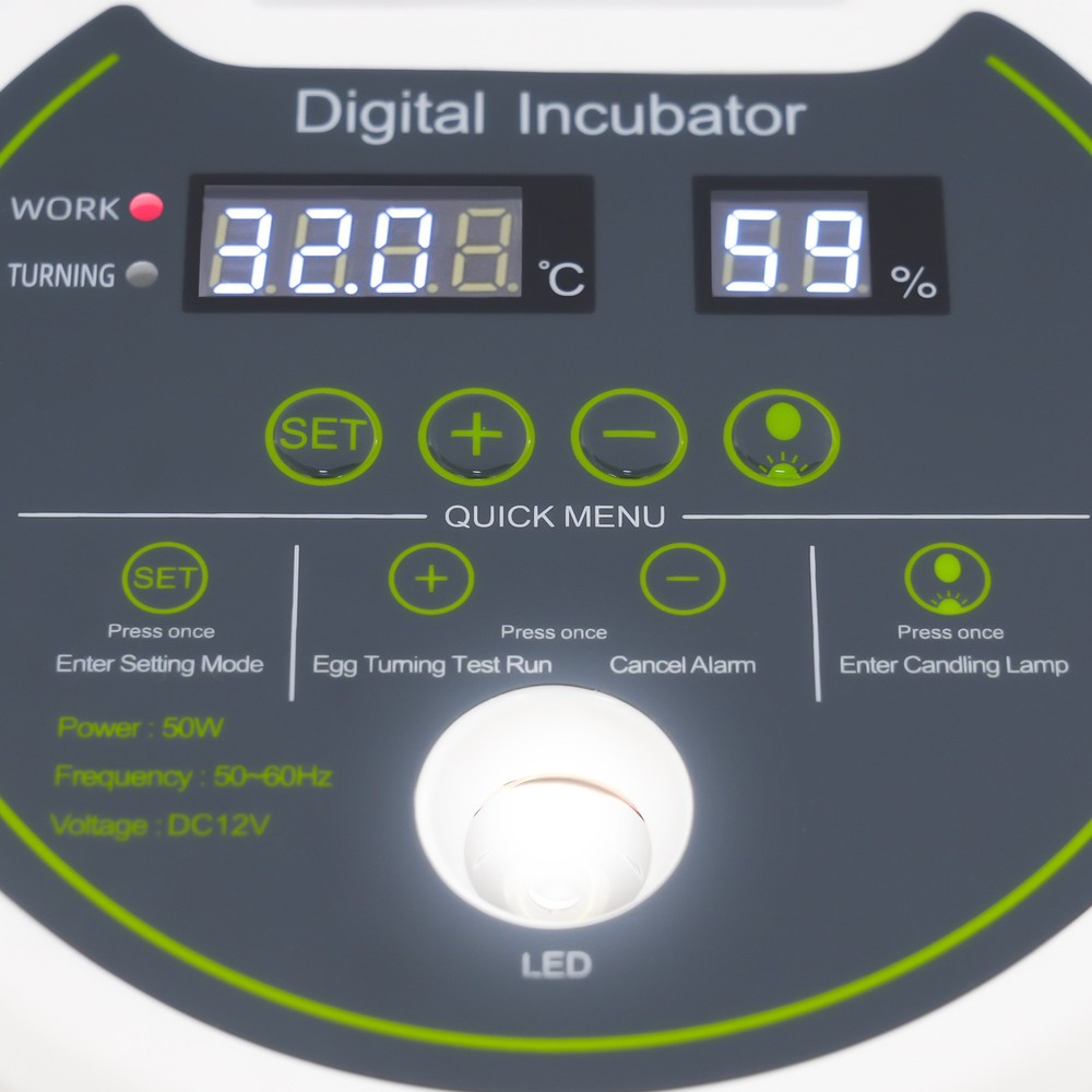 33 Eggs Quail Egg Incubator Modern Small Quail Brooder Poultry Quail Incubator